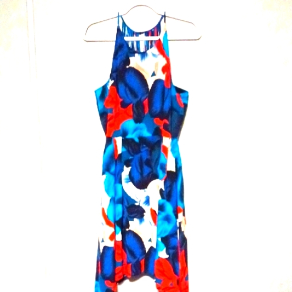 Y2K Antonio  Melani  100%Silk Sexy  Floral   Dress  Flowing Jagged Hem Sz 6